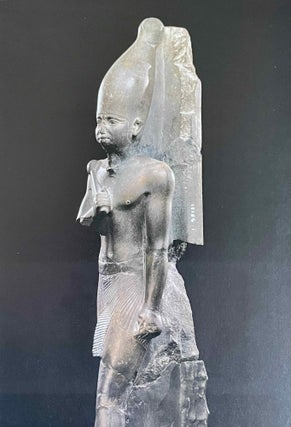 Created for Eternity: The Greatest Discoveries of Czech Egyptology[newline]M9096-10.jpeg