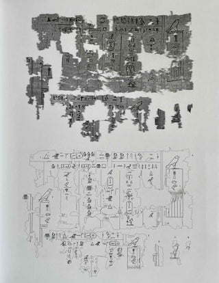Created for Eternity: The Greatest Discoveries of Czech Egyptology[newline]M9096-18.jpeg