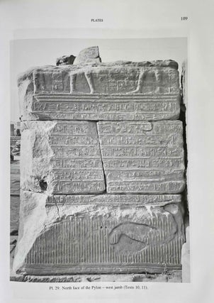 The first pylon of the Mut Temple, South Karnak: architecture, decoration, inscriptions[newline]M9107-05.jpeg