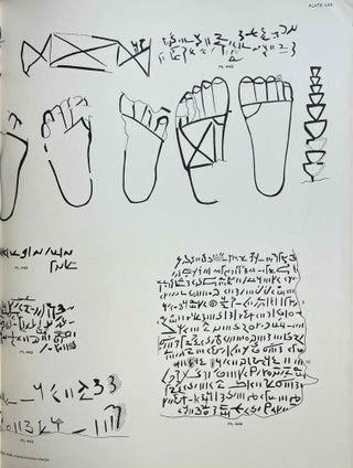 Catalogue of the Demotic Graffiti of the Dodecaschoenus. Vol. I: Text. Vol. II: Plates (complete set)[newline]M9206-22.jpeg