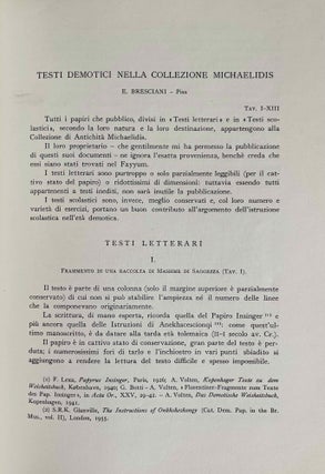 Testi demotici nella collezione Michaelidis