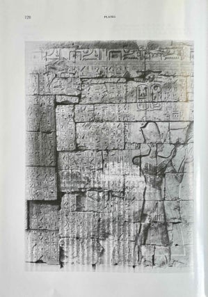 The Great Dedicatory Inscription of Ramesses II. A Solar-Osirian Tractate at Abydos.[newline]M9243-09.jpeg