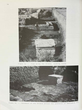 British Museum Expedition to Middle Egypt. Ashmunein (1983).