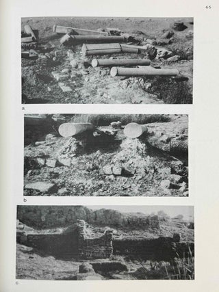 British Museum Expedition to Middle Egypt. Ashmunein (1983).