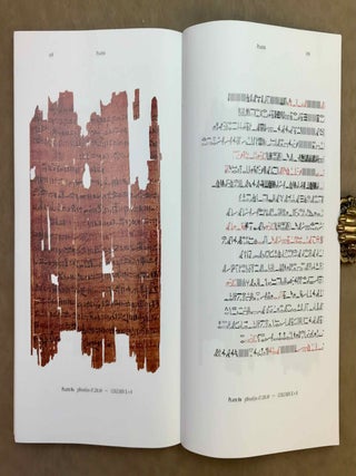 A royal book of protection of the Saite period. pBrooklyn 47.218.49.[newline]M9273a-08.jpeg