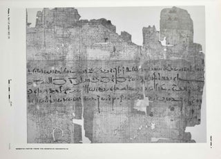 Demotic Papyri from the Memphite Necropolis In the Collections of the National Museum of Antiquities in Leiden, the British Museum and the Hermitage Museum. Vol. I: Text. Vol. II: Plates (complete set)[newline]M9290-15.jpeg