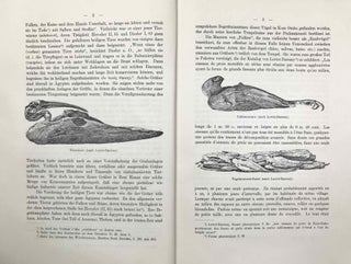 Die Prinz-Joachim-Ostraka. Griechische und demotische Beisetzungsurkunden für Ibis- und Falkenmumien aus Ombos.