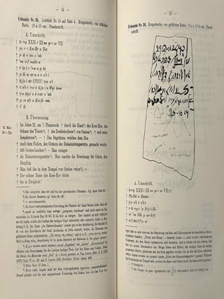 Die Prinz-Joachim-Ostraka. Griechische und demotische Beisetzungsurkunden f&uuml;r Ibis- und Falkenmumien aus Ombos.[newline]M9294a-05.jpeg