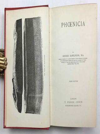 Phoenicia[newline]M9298-02.jpeg