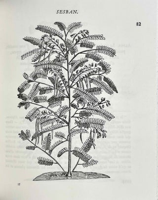 Plantes d'Egypte. 1581-1584.[newline]M9337-05.jpeg
