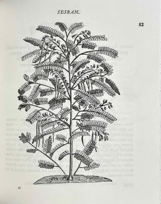 Plantes d'Egypte. 1581-1584.