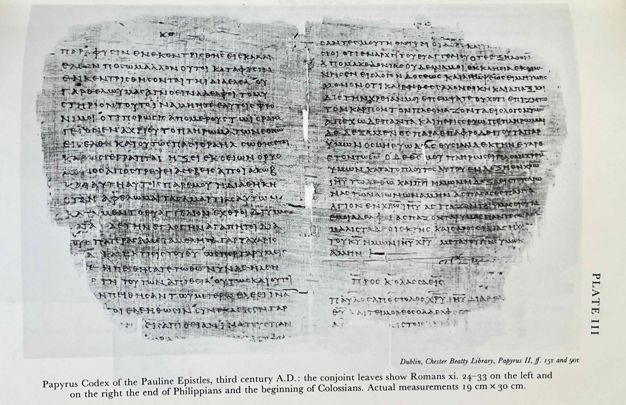 The birth of the codex | ROBERTS Colin H