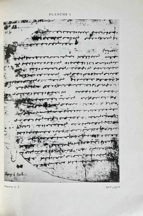 Papyrus grecs du musée gréco-romain d'Alexandrie (Papirusy greckie z Muzeum Grecko-Rzymskiego w Aleksandrii)