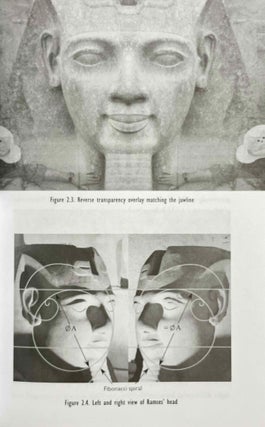 Lost technologies of ancient Egypt. Advanced engineering in the temples of the pharaohs.[newline]M9410-06.jpeg