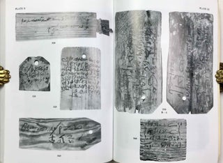 Demotic and Greek-Demotic mummy labels and other short texts gathered from many publications (short texts II 278-1200). Part B: Concordances, appendices, indexes and plates.[newline]M9460-07.jpeg