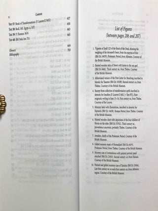 Traversing eternity. Texts for the afterlife from Ptolemaic and Roman Egypt.[newline]M9483-07.jpeg