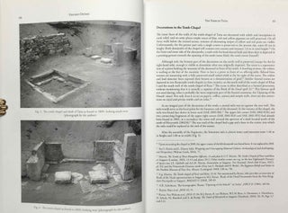 Imaging and imagining the Memphite Necropolis. Liber amicorum René Van Walsem.[newline]M9649-08.jpeg