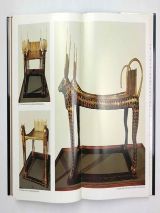 The Gold of Tutankhamen[newline]M9761-14.jpeg