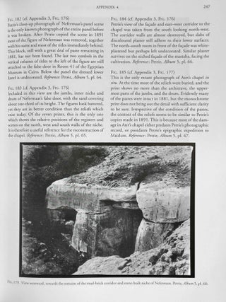 The tombs of Nefermaat and Rahotep at Maidum. Discovery, destruction and reconstruction.[newline]M9770-19.jpeg