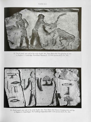 The tombs of Nefermaat and Rahotep at Maidum. Discovery, destruction and reconstruction.[newline]M9770-23.jpeg