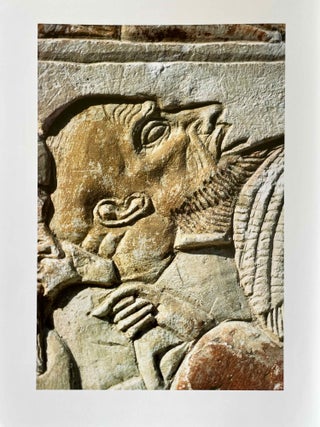 Item #M9774b Tutankhamun's regent. Scenes and texts from the Memphite Tomb of Horemheb for...[newline]M9774b-00.jpeg