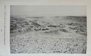 Amarna Reports I, II, IV, V and VI (missing only vol. III)