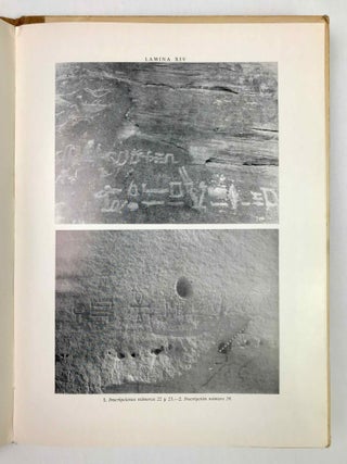 Las inscripciones rupestres fara&oacute;nicas entre Korosko y Kasr Ibrim (orilla oriental del Nilo)[newline]M9831-04.jpeg
