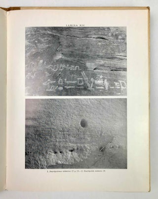 Las inscripciones rupestres faraónicas entre Korosko y Kasr Ibrim (orilla oriental del Nilo)