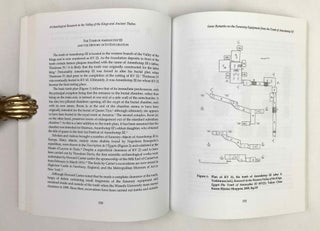Archaeological Research in the Valley of the Kings and Ancient Thebes. Papers Presented in Honor of Richard H. Wilkinson.
