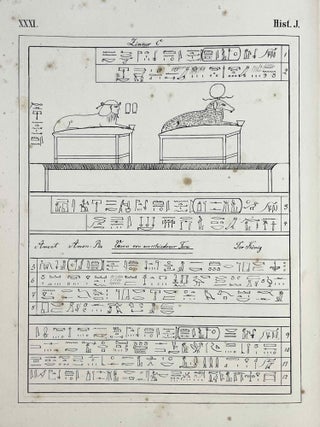 Historische Inschriften Altaegyptischer Denkmaeler. In den Jahren 1863-1865 an Ort und Stelle gesammelt und mit erl&auml;uterndem Text. Herausgegeben von Johannes Duemichen.[newline]M9875-43.jpeg